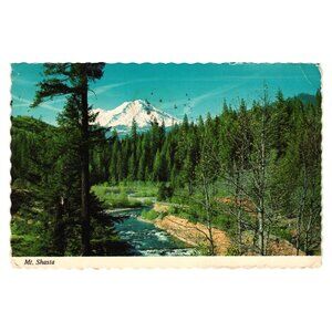 Vintage 1979 Mt Shasta Postcard The Continental Card Posted 10 Cents Nature Tree